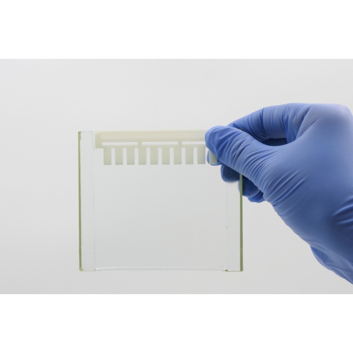 Precast-Glgel 12% Hepes non-denaturing electrophoresis precast gel, 10 wells