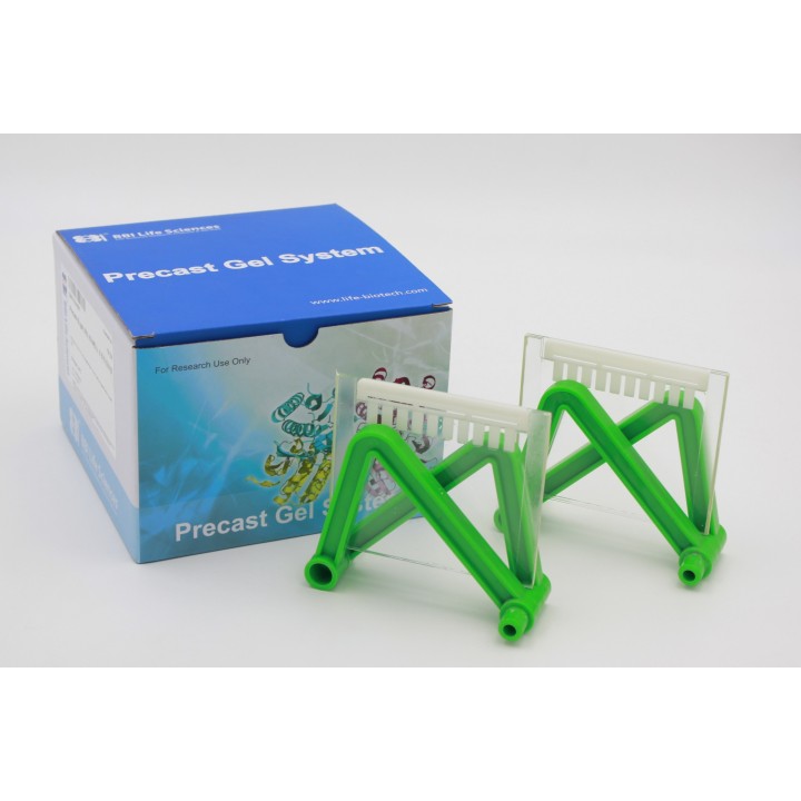 Precast-Glgel 12% Hepes non-denaturing electrophoresis precast gel, 10 wells