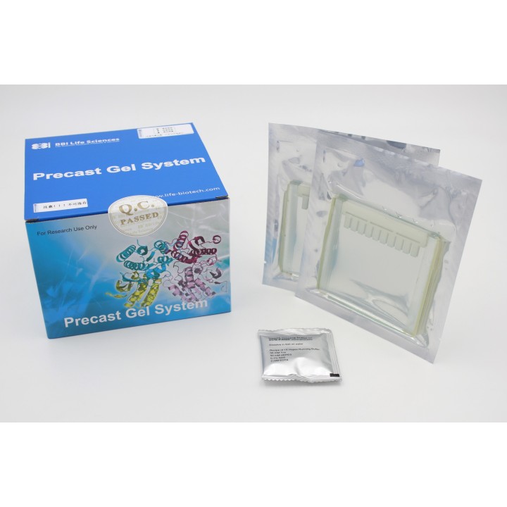 Precast-Glgel 12% Hepes non-denaturing electrophoresis precast gel, 10 wells