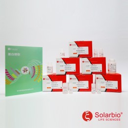 Micro BCA Protein Quantitative Kit