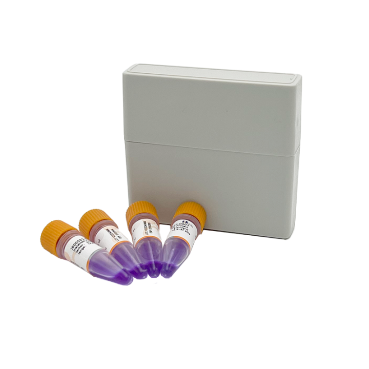 Unstained protein marker, standard range, 14.4~97 kDa