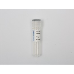 Bovine serum albumin (BSA) standard solution, 2 mg/ml