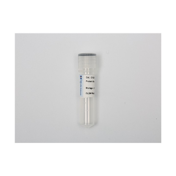 Bovine serum albumin (BSA) standard solution, 2 mg/ml