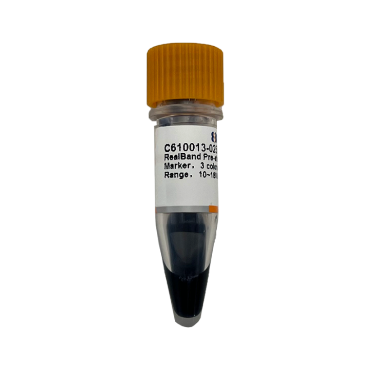 RealBand trichrome prestained protein marker I, standard range, 10~180 kDa
