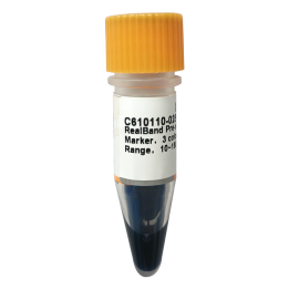 RealBand trichrome prestained protein marker II, standard range, 10~180 kDa