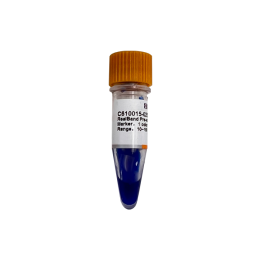 RealBand monochrome prestained protein marker, standard range, 10~180kDa