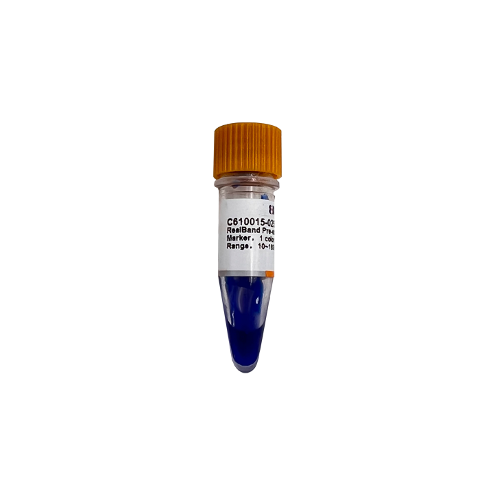 RealBand monochrome prestained protein marker, standard range, 10~180kDa