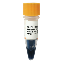 Real-band Western blotting two-color pre-stained protein markers, standard range, 15~180kDa