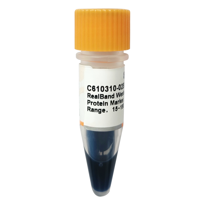 Real-band Western blotting two-color pre-stained protein markers, standard range, 15~180kDa
